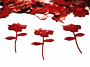Red Rose Confetti by the Pound or Packet